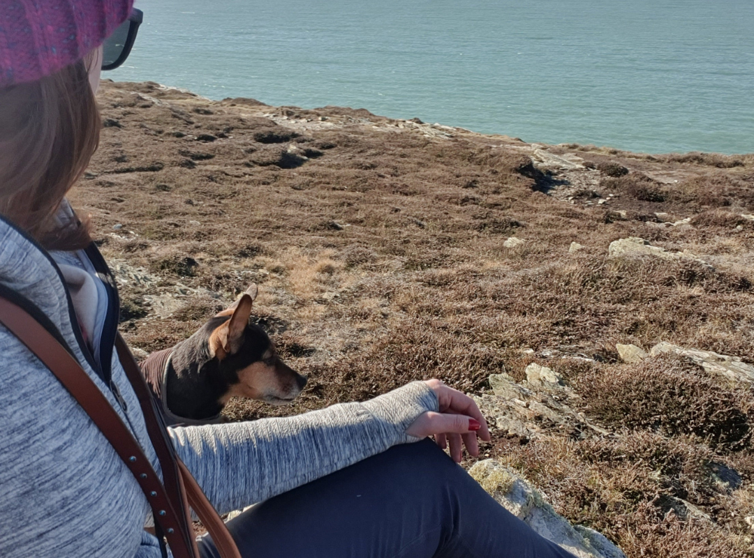 Hiking with Lola